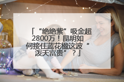 “绝绝紫”吸金超2800万！昆明如何接住蓝花楹这波“泼天富贵”？